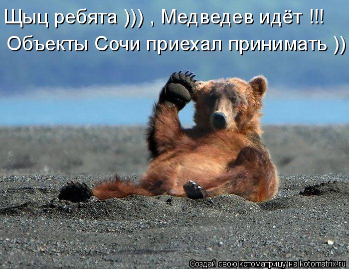Котоматрица: Щыц ребята ))) , Медведев идёт !!! Объекты Сочи приехал принимать ))