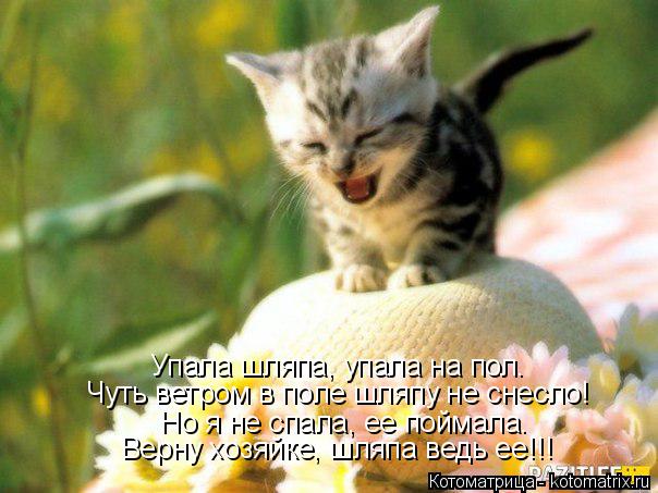 Упала шляпа, упала на пол. Чуть ветром в поле шляпу не снесло! Но я не спала, ее поймала. Верну хозяй... Котоматрица: Упала шляпа, упала на пол. Чуть ветром в поле шляпу не снесло! Но я не спала, ее поймала. Верну хозяйке, шляпа ведь ее!!!