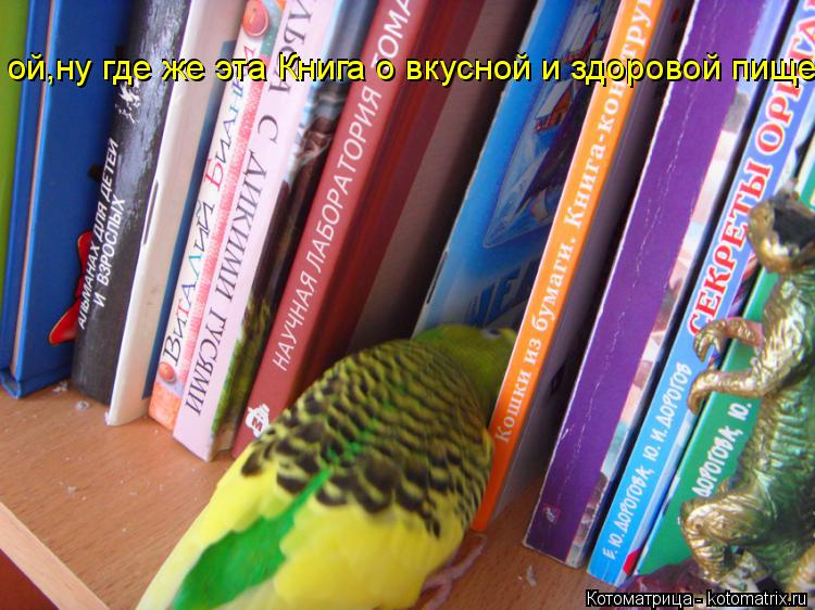 ой,ну где же эта Книга о вкусной и здоровой пище ой,ну где же эта Книга о вкусной и здоровой пище... Котоматрица: ой,ну где же эта Книга о вкусной и здоровой пище ой,ну где же эта Книга о вкусной и здоровой пище