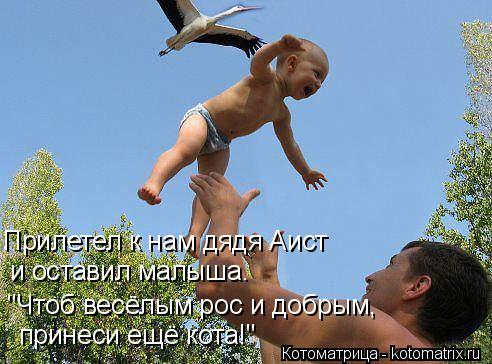 "Чтоб весёлым рос и добрым, принеси ещё кота!" и оставил малыша. Прилетел к нам дядя Аист... Котоматрица: "Чтоб весёлым рос и добрым, принеси ещё кота!" и оставил малыша. Прилетел к нам дядя Аист
