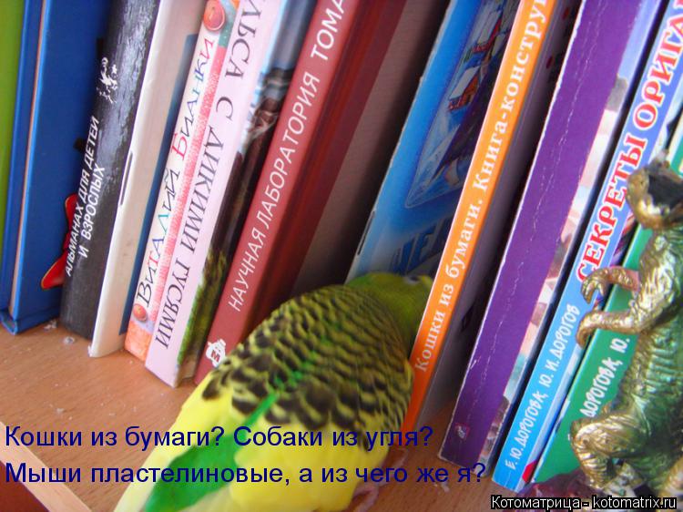 Котоматрица: Кошки из бумаги? Собаки из угля? Мыши пластелиновые, а из чего же я?