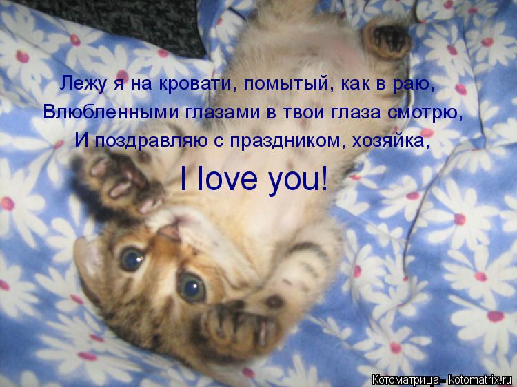 Котоматрица: Лежу я на кровати, помытый, как в раю, Влюбленными глазами в твои глаза смотрю, И поздравляю с праздником, хозяйка, I love you!