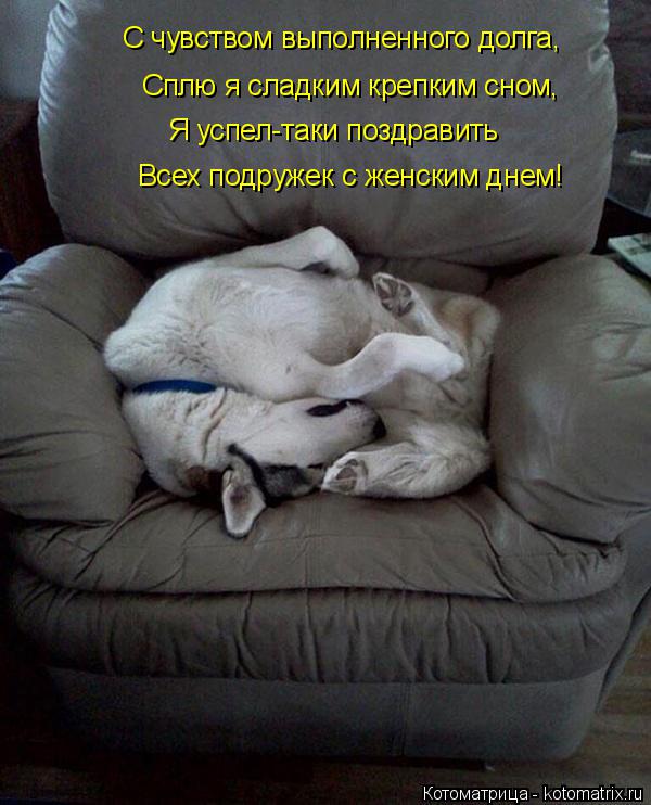 Котоматрица: С чувством выполненного долга, Сплю я сладким крепким сном, Я успел-таки поздравить Всех подружек с женским днем!