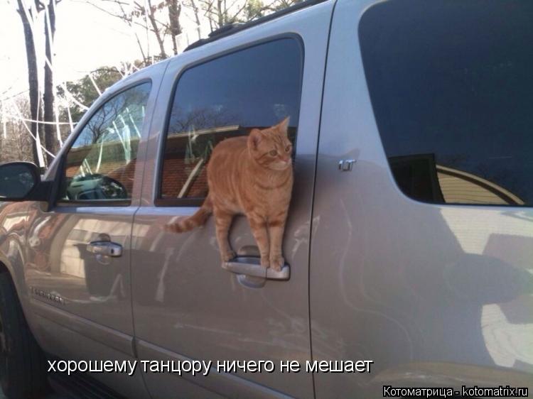хорошему танцору ничего не мешает... Котоматрица: хорошему танцору ничего не мешает