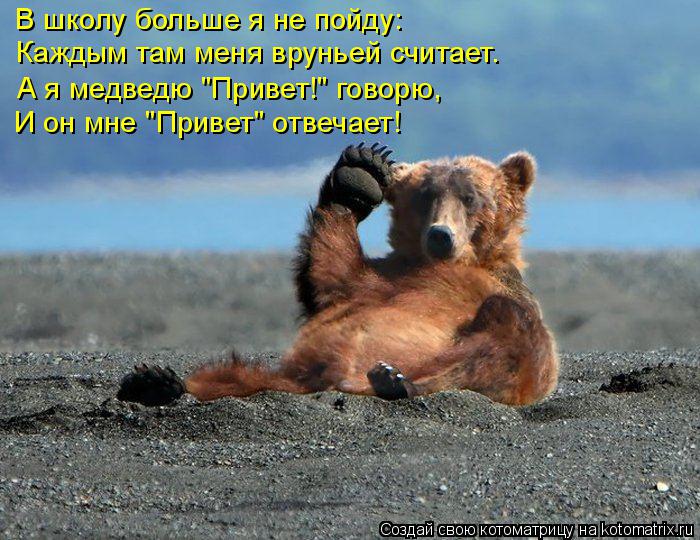 В школу больше я не пойду: Каждым там меня вруньей считает. И он мне "Привет" отвечает! А я медведю "... Котоматрица: В школу больше я не пойду: Каждым там меня вруньей считает. И он мне "Привет" отвечает! А я медведю "Привет!" говорю,