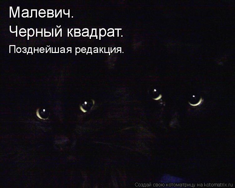 Малевич. Черный квадрат. Позднейшая редакция.... Котоматрица: Малевич. Черный квадрат. Позднейшая редакция.