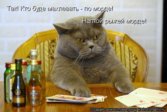 Так! Кто буде махлевать - по морде! Наглой рыжей морде!... Котоматрица: Так! Кто буде махлевать - по морде! Наглой рыжей морде!