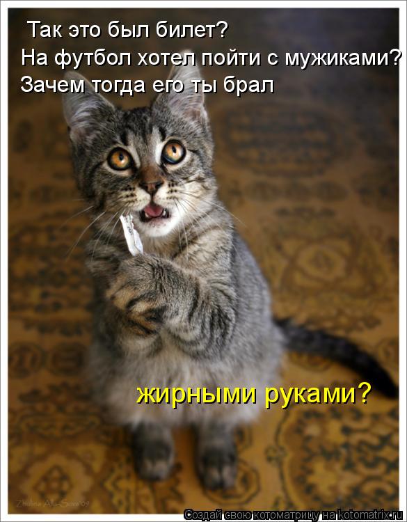 Так это был билет? На футбол хотел пойти с мужиками? Зачем тогда его ты брал жирными руками?... Котоматрица: Так это был билет? На футбол хотел пойти с мужиками? Зачем тогда его ты брал жирными руками?