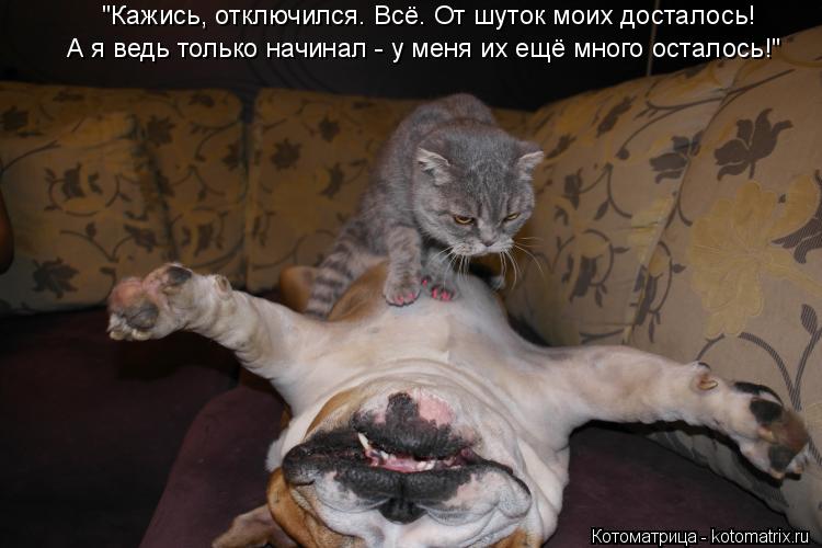 "Кажись, отключился. Всё. От шуток моих досталось! А я ведь только начинал - у меня их ещё много оста... Котоматрица: "Кажись, отключился. Всё. От шуток моих досталось! А я ведь только начинал - у меня их ещё много осталось!"
