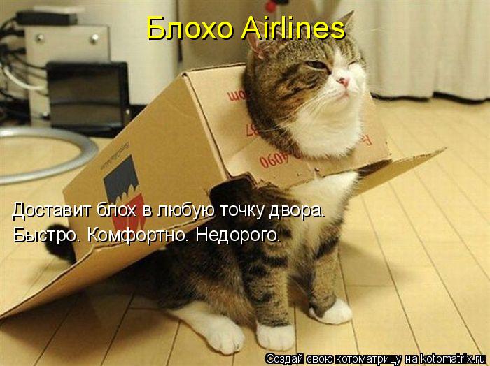Блохо Airlines Доставит блох в любую точку двора. Быстро. Комфортно. Недорого.... Котоматрица: Блохо Airlines Доставит блох в любую точку двора. Быстро. Комфортно. Недорого.