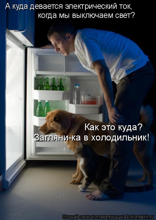 А куда девается электрический ток, когда мы выключаем свет? Как это куда? Загляни-ка в холодильник!... Котоматрица: А куда девается электрический ток, когда мы выключаем свет? Как это куда? Загляни-ка в холодильник!