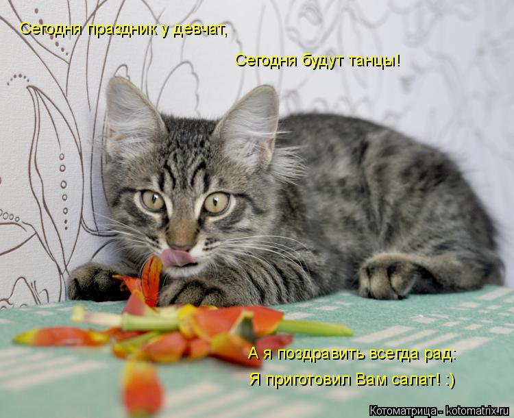 Сегодня праздник у девчат, Сегодня будут танцы! Я приготовил Вам салат! :) А я поздравить всегда рад... Котоматрица: Сегодня праздник у девчат, Сегодня будут танцы! Я приготовил Вам салат! :) А я поздравить всегда рад:
