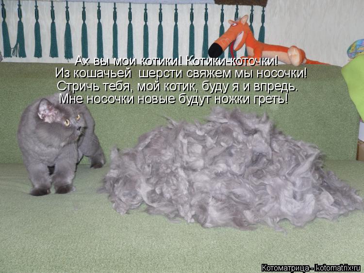 Ах вы мои котики! Котики-коточки! Из кошачьей шерсти свяжем мы носочки! Стричь тебя, мой котик, буду... Котоматрица: Ах вы мои котики! Котики-коточки! Из кошачьей шерсти свяжем мы носочки! Стричь тебя, мой котик, буду я и впредь. Мне носочки новые будут ножки
