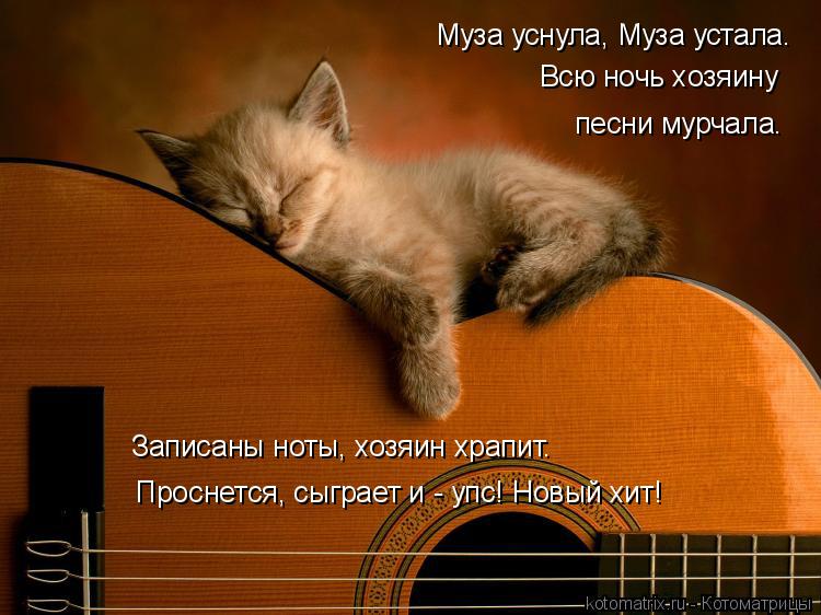 Котоматрица: Муза уснула, Муза устала. Всю ночь хозяину песни мурчала. Записаны ноты, хозяин храпит. Проснется, сыграет и - упс! Новый хит!