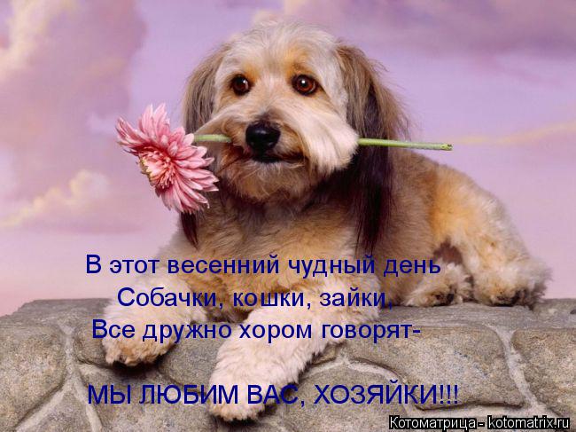 Котоматрица: В этот весенний чудный день Собачки, кошки, зайки, Все дружно хором говорят- МЫ ЛЮБИМ ВАС, ХОЗЯЙКИ!!!