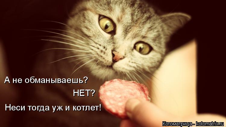 Котоматрица: А не обманываешь? НЕТ? Неси тогда уж и котлет!