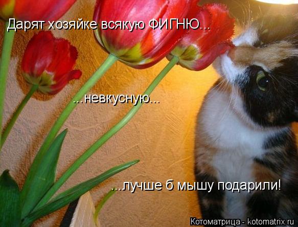 Котоматрица: Дарят хозяйке всякую ФИГНЮ... ...невкусную... ...лучше б мышу подарили!