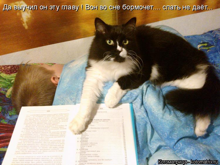 Да выучил он эту главу ! Вон во сне бормочет.... спать не даёт...... Котоматрица: Да выучил он эту главу ! Вон во сне бормочет.... спать не даёт...