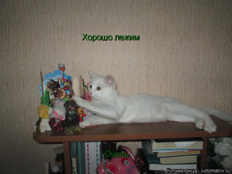 Хорошо лежим Очень... Котоматрица: Хорошо лежим Очень