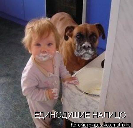 Котоматрица: ЕДИНОДУШИЕ НАЛИЦО