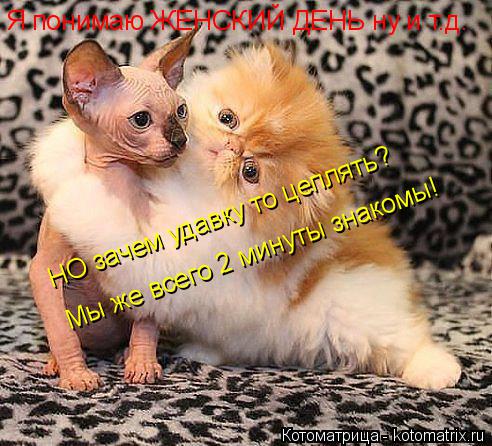 НО зачем удавку то цеплять? Мы же всего 2 минуты знакомы! Я понимаю ЖЕНСКИЙ ДЕНЬ ну и т.д.... Котоматрица: НО зачем удавку то цеплять? Мы же всего 2 минуты знакомы! Я понимаю ЖЕНСКИЙ ДЕНЬ ну и т.д.