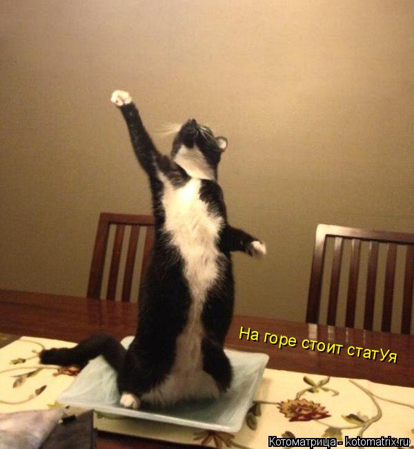 На горе стоит статУя... Котоматрица: На горе стоит статУя