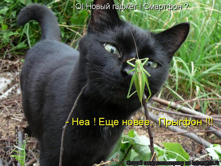 - О! Новый гаджет ! Смартфон ? - Неа ! Еще новее.. Прыгфон !!!... Котоматрица: - О! Новый гаджет ! Смартфон ? - Неа ! Еще новее.. Прыгфон !!!