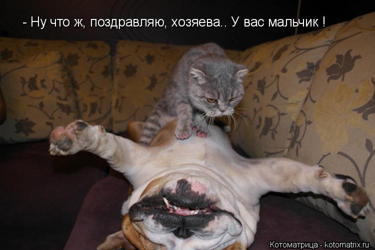 - Ну что ж, поздравляю, хозяева.. У вас мальчик !... Котоматрица: - Ну что ж, поздравляю, хозяева.. У вас мальчик !