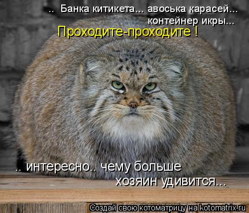 .. Банка китикета... авоська карасей... контейнер икры... Проходите-проходите ! .. интересно.. чему... Котоматрица: .. Банка китикета... авоська карасей... контейнер икры... Проходите-проходите ! .. интересно.. чему больше хозяин удивится...