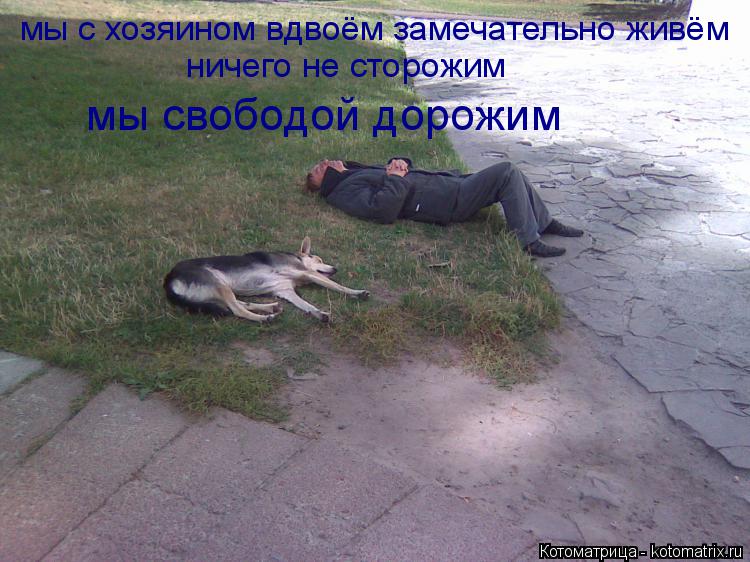 мы с хозяином вдвоём замечательно живём ничего не сторожим мы свободой дорожим... Котоматрица: мы с хозяином вдвоём замечательно живём ничего не сторожим мы свободой дорожим