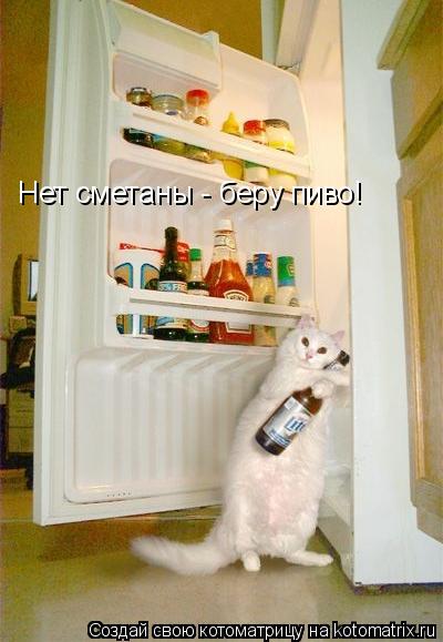 Котоматрица: Нет сметаны - беру пиво!