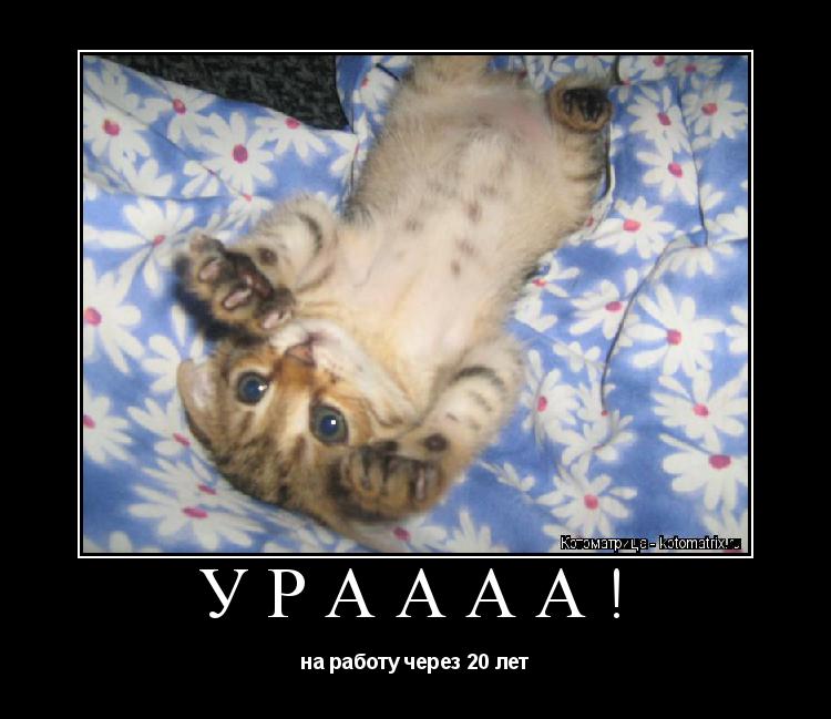 Котоматрица: УРАААА! на работу через 20 лет