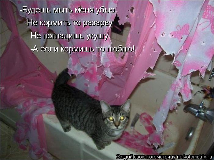 -Будешь мыть меня убью -Не кормить то разарву Не погладишь укушу -А если кормишь то люблю!... Котоматрица: -Будешь мыть меня убью -Не кормить то разарву Не погладишь укушу -А если кормишь то люблю!