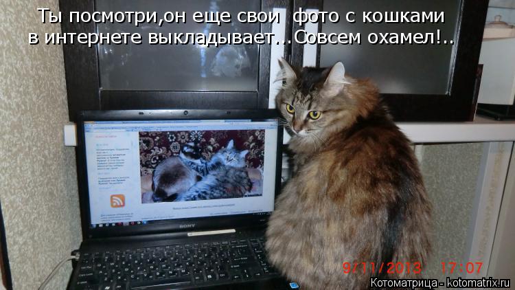 Ты посмотри,он еще свои фото с кошками в интернете выкладывает...Совсем охамел!..... Котоматрица: Ты посмотри,он еще свои фото с кошками в интернете выкладывает...Совсем охамел!..
