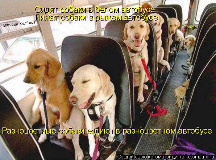 Сидят собаки в белом автобусе Лижат собаки в рыжем автобусе Разноцветные собаки ездиют в разноцветном... Котоматрица: Сидят собаки в белом автобусе Лижат собаки в рыжем автобусе Разноцветные собаки ездиют в разноцветном автобусе Google Магазин-Колбаса