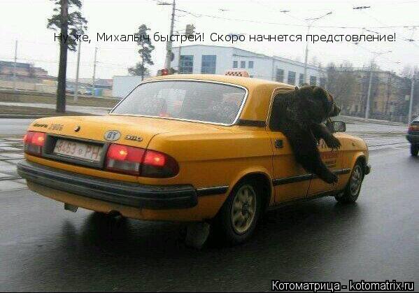 Ну же, Михалыч быстрей! Скоро начнется предстовление! Ну же, Михалыч быстрей! Скоро начнется предстов... Котоматрица: Ну же, Михалыч быстрей! Скоро начнется предстовление! Ну же, Михалыч быстрей! Скоро начнется предстовление!
