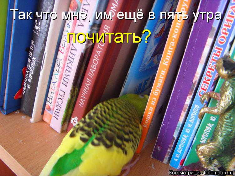 Так что мне, им ещё в пять утра почитать?... Котоматрица: Так что мне, им ещё в пять утра почитать?