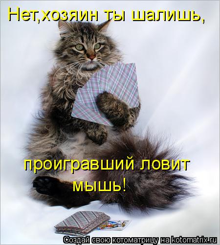 Нет,хозяин ты шалишь, проигравший ловит мышь!... Котоматрица: Нет,хозяин ты шалишь, проигравший ловит мышь!