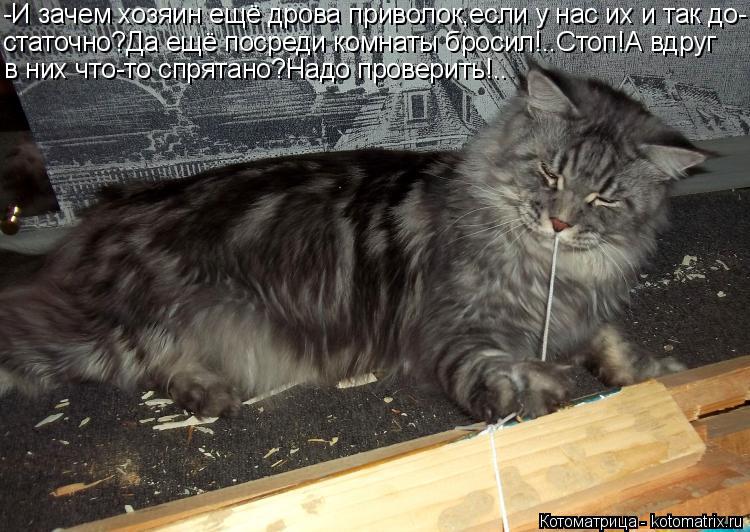 -И зачем хозяин ещё дрова приволок,если у нас их и так до- статочно?Да ещё посреди комнаты бросил!..С... Котоматрица: -И зачем хозяин ещё дрова приволок,если у нас их и так до- статочно?Да ещё посреди комнаты бросил!..Стоп!А вдруг в них что-то спрятано?Надо про
