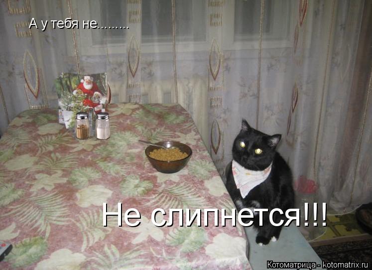 А у тебя не......... Не слипнется!!!... Котоматрица: А у тебя не......... Не слипнется!!!