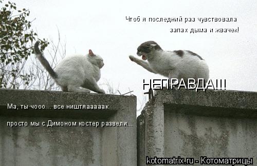 Чтоб я последний раз чувствовала запах дыма и жвачек! Ма, ты чооо... все ништяааааак просто мы с Дим... Котоматрица: Чтоб я последний раз чувствовала запах дыма и жвачек! Ма, ты чооо... все ништяааааак просто мы с Димоном костер развели... НЕПРАВДА!!!
