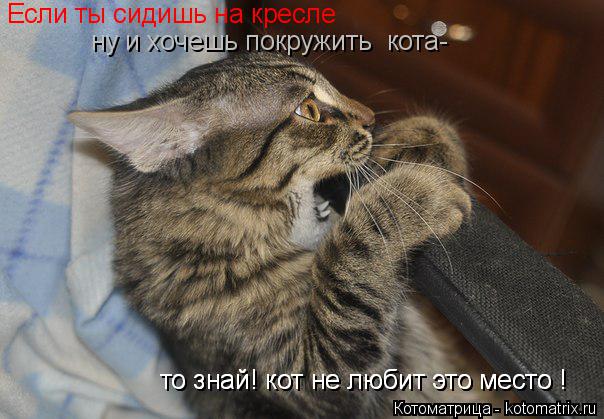 Если ты сидишь на кресле Если ты сидишь на кресле ну и хочешь покружить кота- то знай! кот не люби... Котоматрица: Если ты сидишь на кресле Если ты сидишь на кресле ну и хочешь покружить кота- то знай! кот не любит это место ! то знай! кот не любит это мест