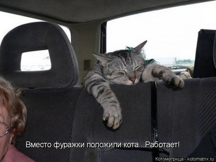 Вместо фуражки положили кота...Работает!... Котоматрица: Вместо фуражки положили кота...Работает!
