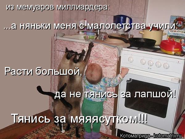 из мемуаров миллиардера: ...а няньки меня с малолетства учили: Расти большой, да не тянись за лапшой!... Котоматрица: из мемуаров миллиардера: ...а няньки меня с малолетства учили: Расти большой, да не тянись за лапшой! Тянись за мяяясутком!!!