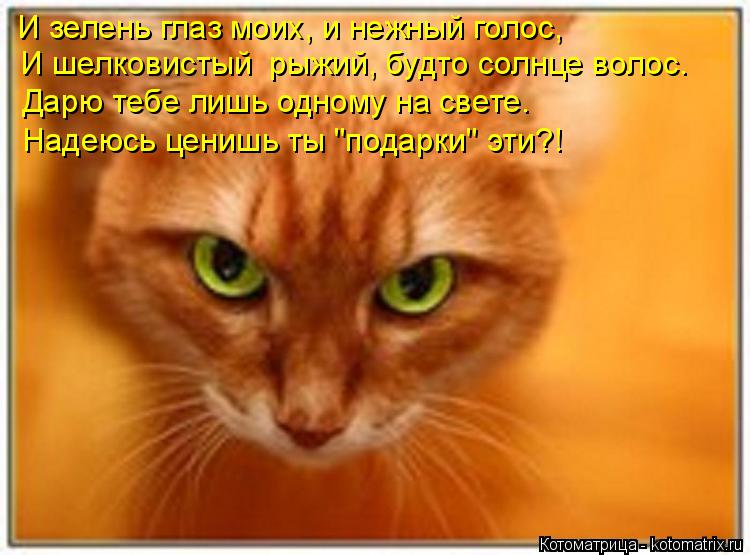 И зелень глаз моих, и нежный голос, И шелковистый рыжий, будто солнце волос. Дарю тебе лишь одному н... Котоматрица: И зелень глаз моих, и нежный голос, И шелковистый рыжий, будто солнце волос. Дарю тебе лишь одному на свете. Надеюсь ценишь ты "подарки" эти?!
