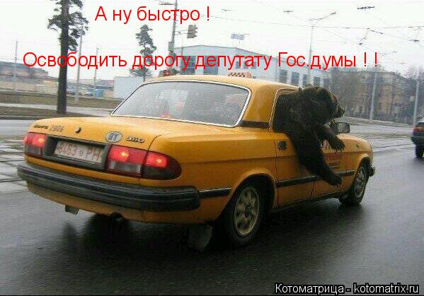 А ну быстро ! Освободить дорогу депутату Гос.думы ! !... Котоматрица: А ну быстро ! Освободить дорогу депутату Гос.думы ! !