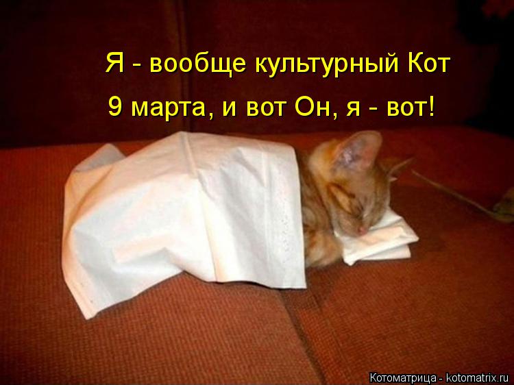 Я - вообще культурный Кот 9 марта, и вот Он, я - вот!... Котоматрица: Я - вообще культурный Кот 9 марта, и вот Он, я - вот!