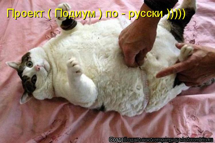 Проект ( Подиум ) по - русски )))))... Котоматрица: Проект ( Подиум ) по - русски )))))