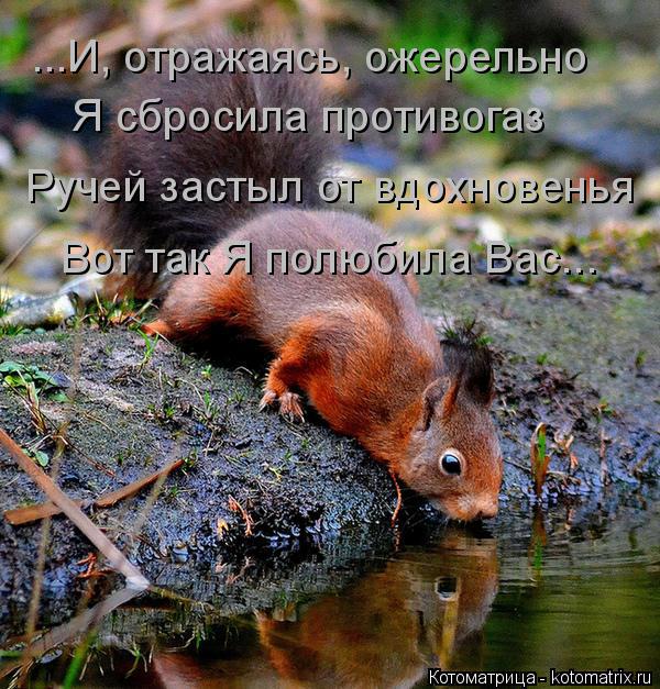 ...И, отражаясь, ожерельно Я сбросила противогаз Ручей застыл от вдохновенья Вот так Я полюбила Вас..... Котоматрица: ...И, отражаясь, ожерельно Я сбросила противогаз Ручей застыл от вдохновенья Вот так Я полюбила Вас...