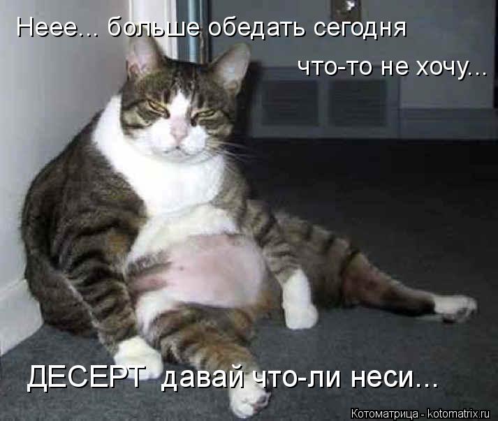 Неее... больше обедать сегодня что-то не хочу... ДЕСЕРТ давай что-ли неси...... Котоматрица: Неее... больше обедать сегодня что-то не хочу... ДЕСЕРТ давай что-ли неси...
